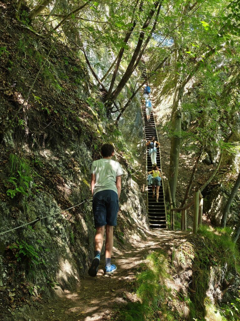 Mala Osojnica wandern